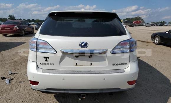 Buy New Lexus RX White Car in Badagry in Lagos State Buy New Lexus RX White Car in Badagry in Lagos State