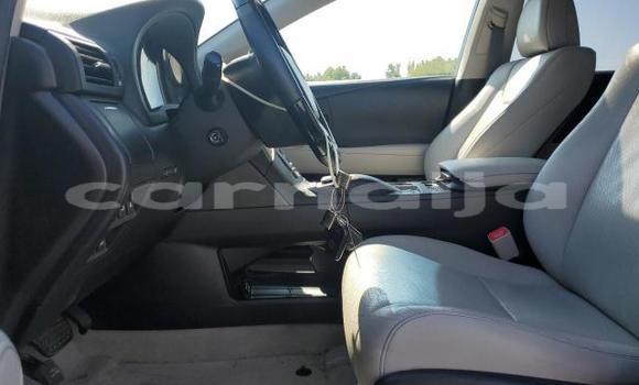 Buy New Lexus RX White Car in Badagry in Lagos State Buy New Lexus RX White Car in Badagry in Lagos State