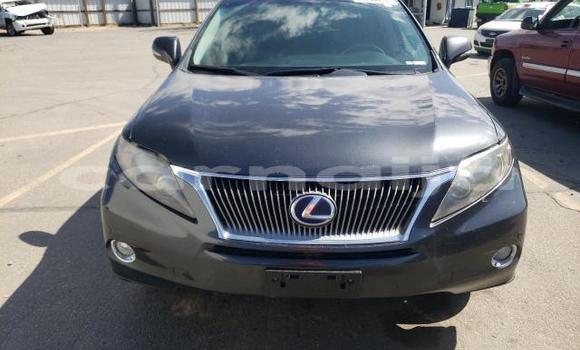 Buy New Lexus RX Other Car in Badagry in Lagos State