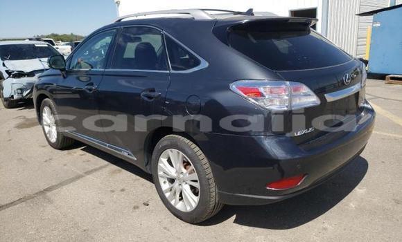 Buy New Lexus RX Other Car in Badagry in Lagos State Buy New Lexus RX Other Car in Badagry in Lagos State