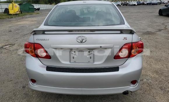 Acheter Neuf Voiture Toyota Corolla Gris à Badagry, État de Lagos Acheter Neuf Voiture Toyota Corolla Gris à Badagry, État de Lagos