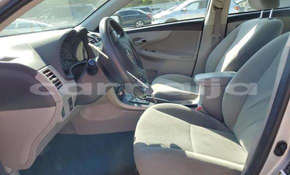 Acheter Neuf Voiture Toyota Corolla Gris à Badagry, État de Lagos Acheter Neuf Voiture Toyota Corolla Gris à Badagry, État de Lagos