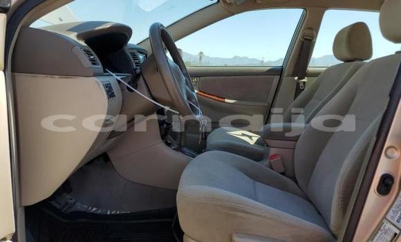 Buy New Toyota Corolla Beige Car in Badagry in Lagos State Buy New Toyota Corolla Beige Car in Badagry in Lagos State