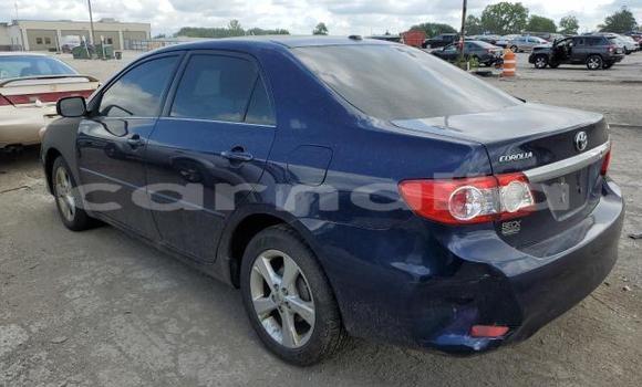 Buy Used Toyota Corolla Blue Car in Lagos in Lagos State