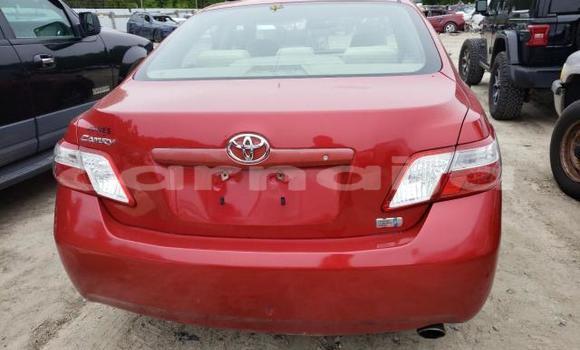 Acheter Occasion Voiture Toyota Camry Rouge à Lagos, État de Lagos Acheter Occasion Voiture Toyota Camry Rouge à Lagos, État de Lagos