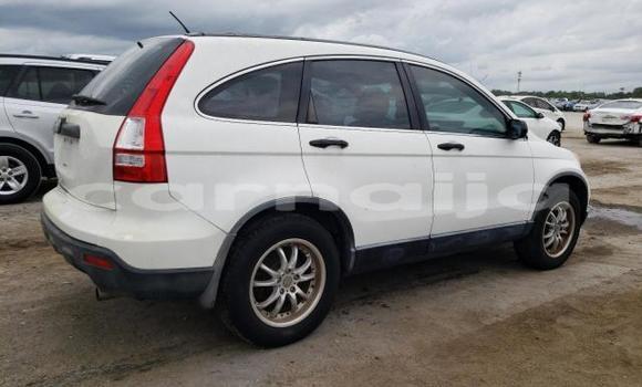 Acheter Occasion Voiture Honda CR–V Blanc à Lagos, État de Lagos Acheter Occasion Voiture Honda CR–V Blanc à Lagos, État de Lagos
