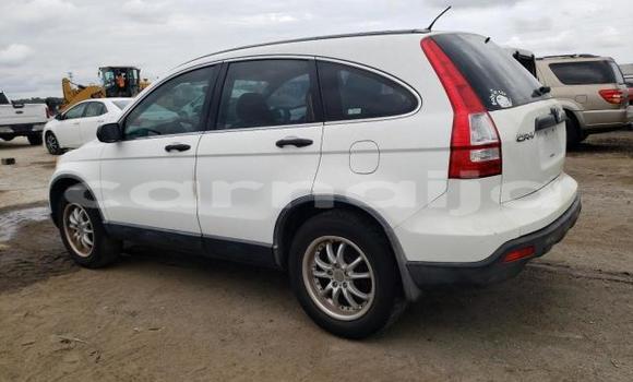 Acheter Occasion Voiture Honda CR–V Blanc à Lagos, État de Lagos Acheter Occasion Voiture Honda CR–V Blanc à Lagos, État de Lagos