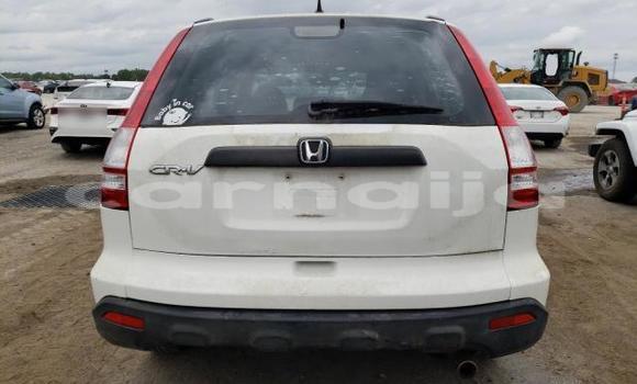 Acheter Occasion Voiture Honda CR–V Blanc à Lagos, État de Lagos Acheter Occasion Voiture Honda CR–V Blanc à Lagos, État de Lagos