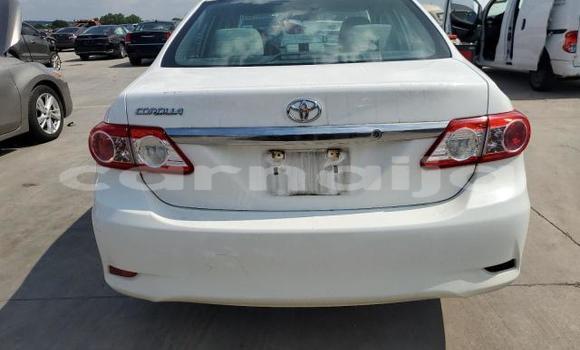 Buy Used Toyota Corolla White Car in Lagos in Lagos State