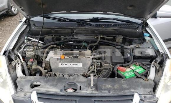 Acheter Occasion Voiture Honda Accord Autre à Lagos, État de Lagos Acheter Occasion Voiture Honda Accord Autre à Lagos, État de Lagos