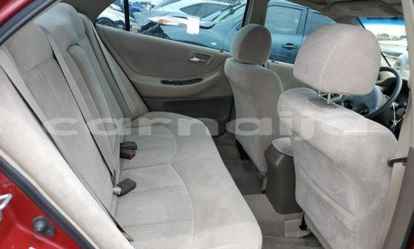 Acheter Occasion Voiture Honda Accord Rouge à Lagos, État de Lagos Acheter Occasion Voiture Honda Accord Rouge à Lagos, État de Lagos