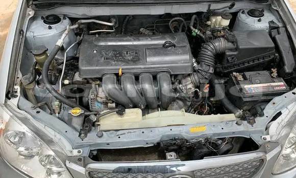 Buy Used Toyota Corolla Other Car in Lagos in Lagos State