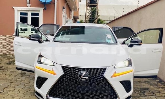 Acheter Occasion Voiture Lexus NX Blanc à Abuja, État de Lagos