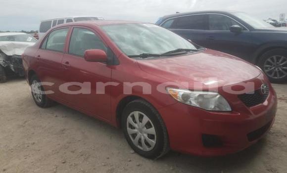 Acheter Occasion Voiture Toyota Corolla Rouge à Lagos, État de Lagos