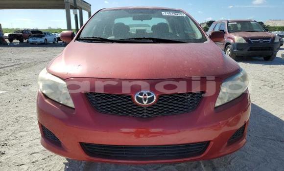 Buy New Toyota Corolla Red Car in Badagry in Lagos State