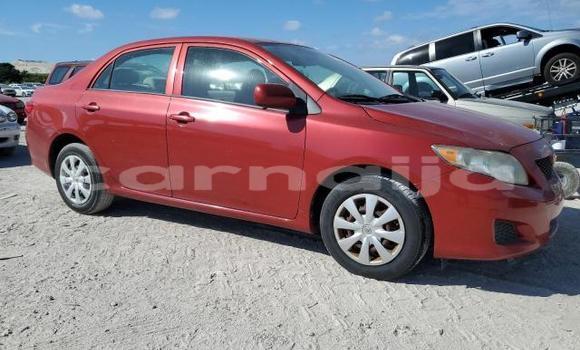 Buy New Toyota Corolla Red Car in Badagry in Lagos State Buy New Toyota Corolla Red Car in Badagry in Lagos State