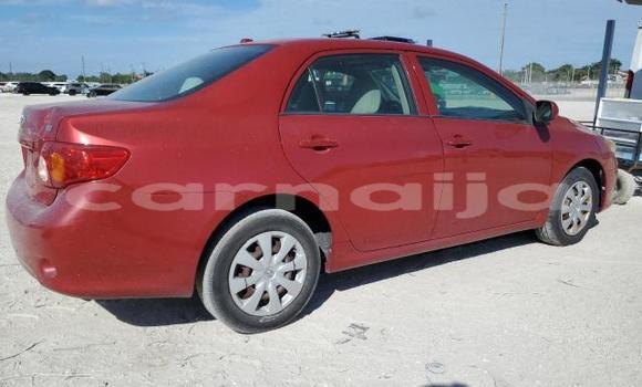 Buy New Toyota Corolla Red Car in Badagry in Lagos State Buy New Toyota Corolla Red Car in Badagry in Lagos State