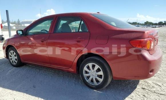 Buy New Toyota Corolla Red Car in Badagry in Lagos State Buy New Toyota Corolla Red Car in Badagry in Lagos State
