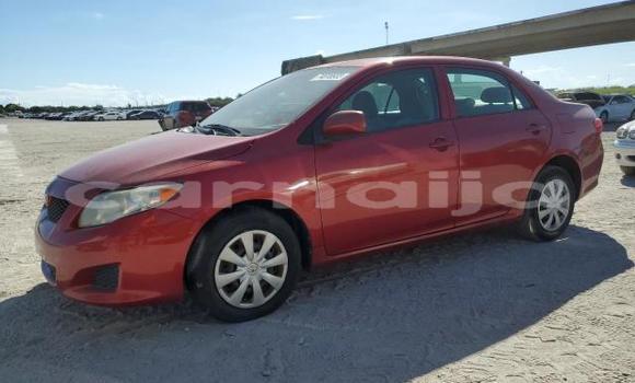 Buy New Toyota Corolla Red Car in Badagry in Lagos State Buy New Toyota Corolla Red Car in Badagry in Lagos State