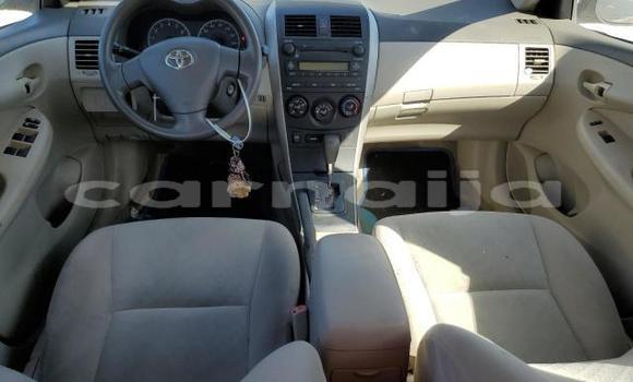 Buy New Toyota Corolla Red Car in Badagry in Lagos State Buy New Toyota Corolla Red Car in Badagry in Lagos State