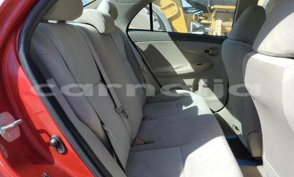 Buy New Toyota Corolla Red Car in Badagry in Lagos State Buy New Toyota Corolla Red Car in Badagry in Lagos State