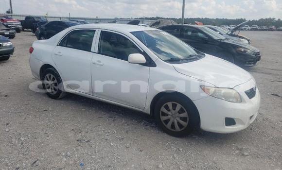 Buy New Toyota Corolla White Car in Badagry in Lagos State