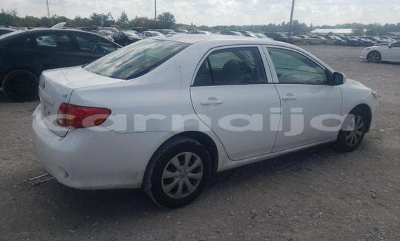 Buy New Toyota Corolla White Car in Badagry in Lagos State Buy New Toyota Corolla White Car in Badagry in Lagos State