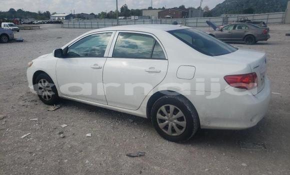 Buy New Toyota Corolla White Car in Badagry in Lagos State Buy New Toyota Corolla White Car in Badagry in Lagos State