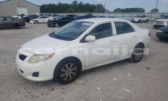 Buy New Toyota Corolla White Car in Badagry in Lagos State Buy New Toyota Corolla White Car in Badagry in Lagos State