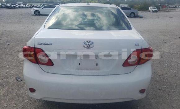 Buy New Toyota Corolla White Car in Badagry in Lagos State Buy New Toyota Corolla White Car in Badagry in Lagos State