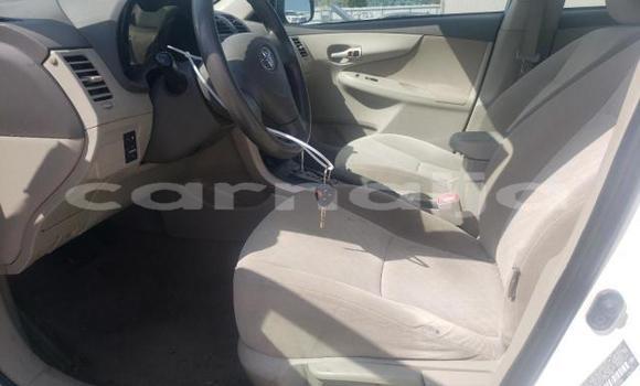 Buy New Toyota Corolla White Car in Badagry in Lagos State Buy New Toyota Corolla White Car in Badagry in Lagos State