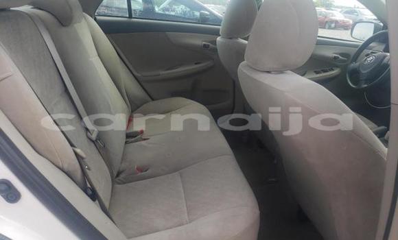 Buy New Toyota Corolla White Car in Badagry in Lagos State Buy New Toyota Corolla White Car in Badagry in Lagos State