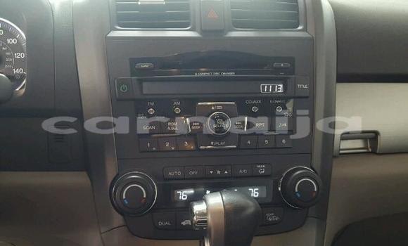 Buy Used Honda CR–V Other Car in Abuja in Lagos State