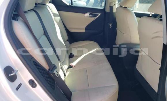 Buy New Lexus CT White Car in Badagry in Lagos State Buy New Lexus CT White Car in Badagry in Lagos State