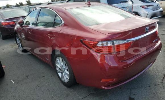 Acheter Neuf Voiture Lexus ES 300 Rouge à Badagry, État de Lagos Acheter Neuf Voiture Lexus ES 300 Rouge à Badagry, État de Lagos
