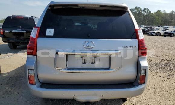Acheter Neuf Voiture Lexus GX Gris à Badagry, État de Lagos Acheter Neuf Voiture Lexus GX Gris à Badagry, État de Lagos