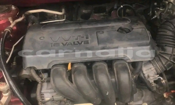 Acheter Occasion Voiture Toyota Corolla Rouge à Sango Ota, Ogun Acheter Occasion Voiture Toyota Corolla Rouge à Sango Ota, Ogun