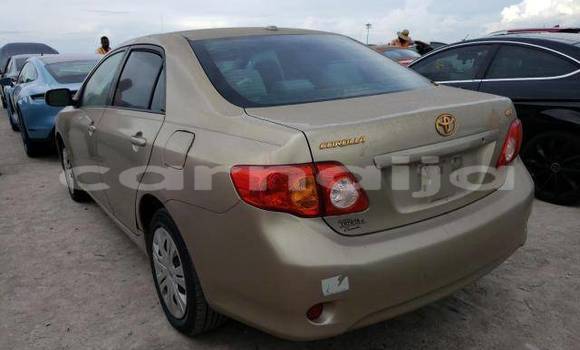 Buy Used Toyota Corolla Other Car in Abuja in Lagos State Buy Used Toyota Corolla Other Car in Abuja in Lagos State