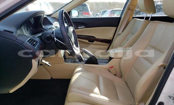 Acheter Neuf Voiture Honda Crosstour Blanc à Badagry, État de Lagos Acheter Neuf Voiture Honda Crosstour Blanc à Badagry, État de Lagos