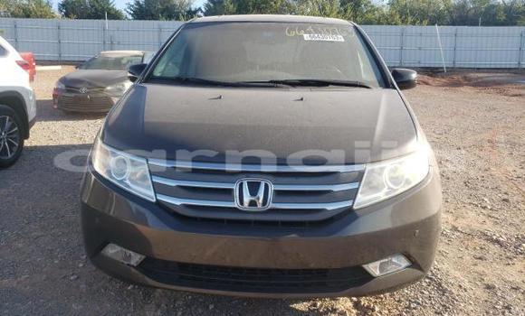 Buy New Honda Odyssey Brown Car in Badagry in Lagos State Buy New Honda Odyssey Brown Car in Badagry in Lagos State