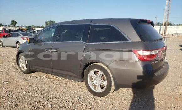 Buy New Honda Odyssey Brown Car in Badagry in Lagos State Buy New Honda Odyssey Brown Car in Badagry in Lagos State
