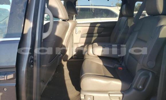Buy New Honda Odyssey Brown Car in Badagry in Lagos State Buy New Honda Odyssey Brown Car in Badagry in Lagos State