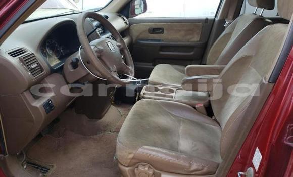 Buy Used Honda CR–V Other Car in Lagos in Lagos State Buy Used Honda CR–V Other Car in Lagos in Lagos State