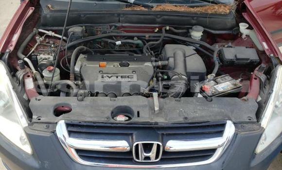 Buy Used Honda CR–V Other Car in Lagos in Lagos State Buy Used Honda CR–V Other Car in Lagos in Lagos State