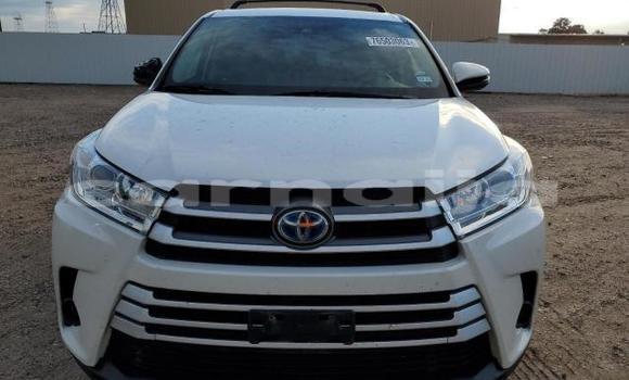 Buy New Toyota Highlander White Car in Badagry in Lagos State Buy New Toyota Highlander White Car in Badagry in Lagos State