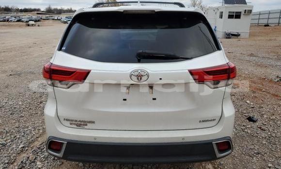 Buy New Toyota Highlander White Car in Badagry in Lagos State Buy New Toyota Highlander White Car in Badagry in Lagos State