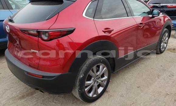 Acheter Neuf Voiture Mazda CX-3 Rouge à Lagos, État de Lagos Acheter Neuf Voiture Mazda CX-3 Rouge à Lagos, État de Lagos