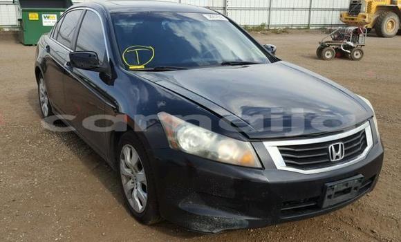 Buy New Honda Accord Other Car in Lagos in Lagos State