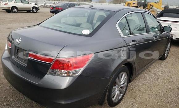 Buy New Honda Accord Other Car in Lagos in Lagos State Buy New Honda Accord Other Car in Lagos in Lagos State