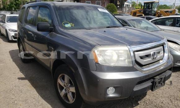 Buy New Honda Pilot Other Car in Lagos in Lagos State
